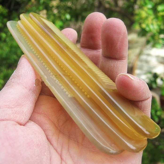 Combs For Female Natural Comb  - Hair Care Gift 评论和价格