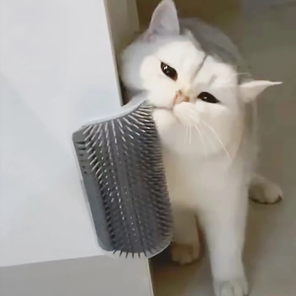 Best-selling Item Massager for - Hair Care Good Hair 评论和价格